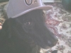 Bailey