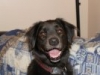 Roscoe