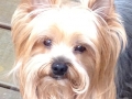 Max W.