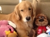 Sawyer