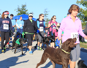 6th Annual Wag n’ Walk Pictures