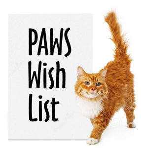 paws-wish-list-cat