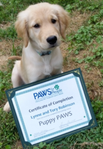 paws-puppy-tory