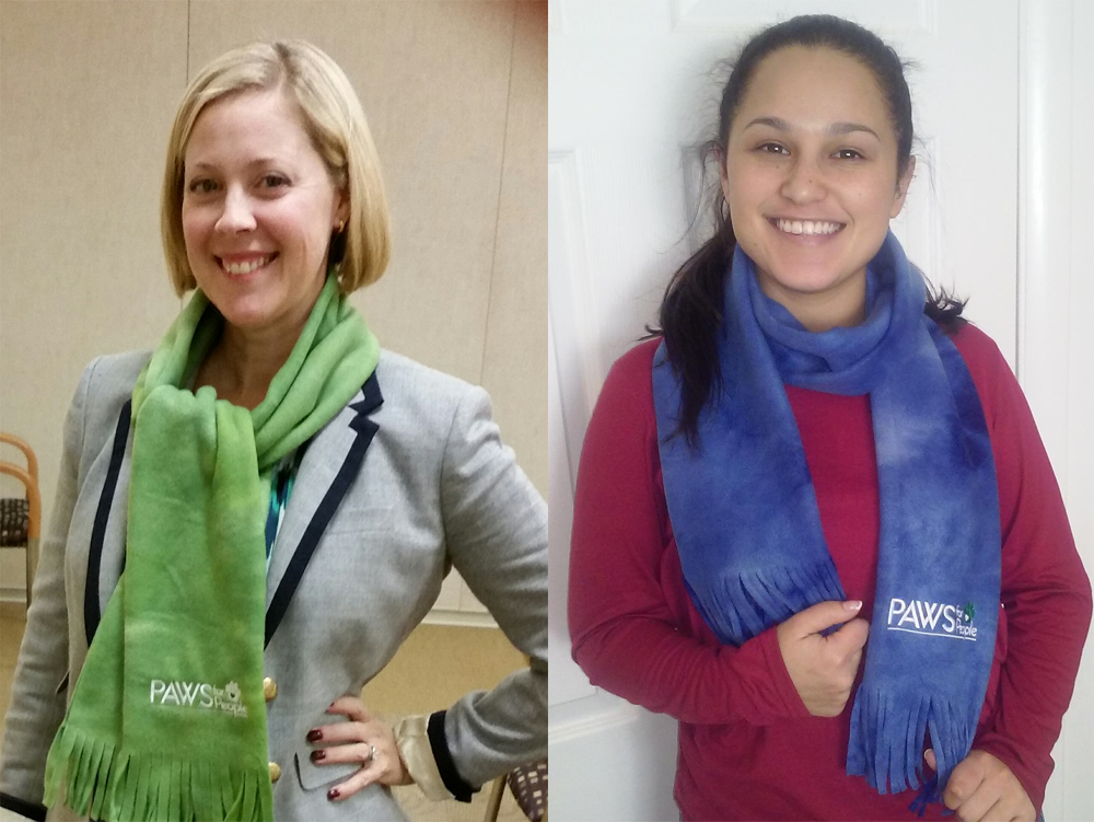 A NEW ITEM: Scarf – Blue or Green