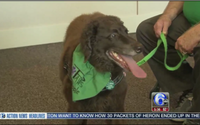 THERAPY DOGS TO HELP EASE COURTROOM FEARS IN DELAWARE COUNTY