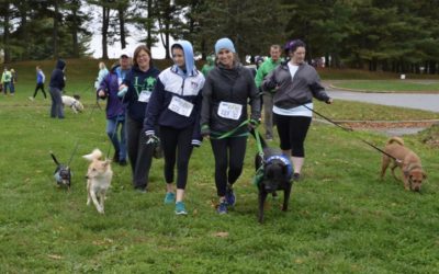 Soggy Saturday Doesn’t Deter Dog Lovers