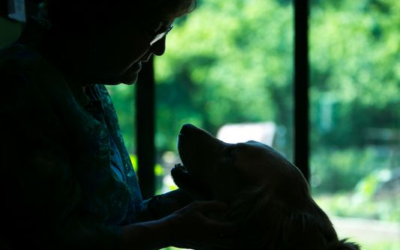 For 24 hours, Delaware nonprofits seek new connections