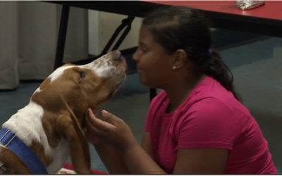 Please Touch Museum PAWS for Reading event