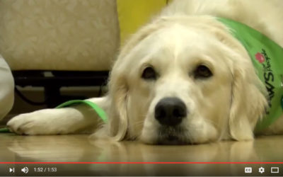 Delmarva Pets: Pet therapy helps local cancer patients