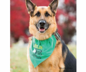 Living Well, August 2017