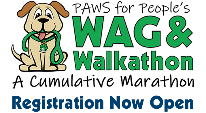 PAWS for People's Wag & Walkathon, A cumulative marathon artwork