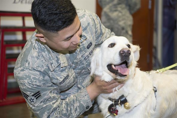 DeStress with PAWS for Improved Physical & Mental Well-being