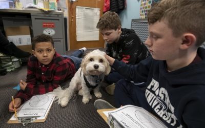 Therapy dogs add comfort for students at area schools