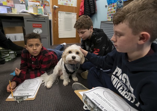 Therapy dogs add comfort for students at area schools