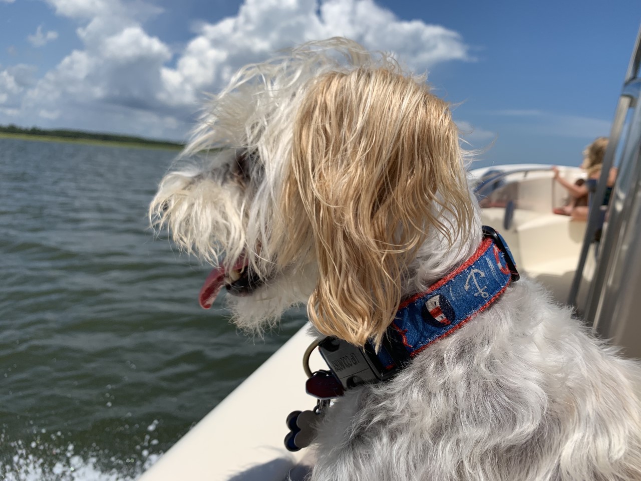 Skipper, Bill, Sudell, 4.30.2020, boat