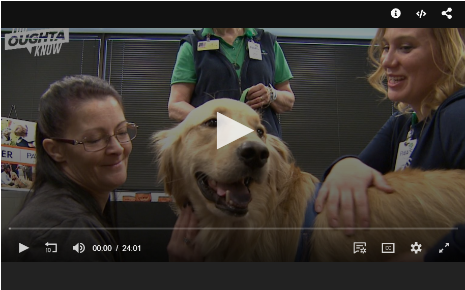 Therapy Dogs: The Furriest Way to De-Stress