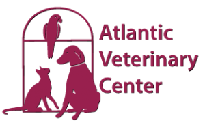 Atlantic Veterinary Center