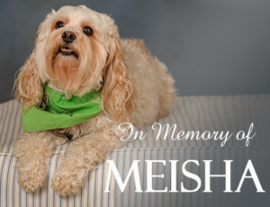 In memory of Meisha