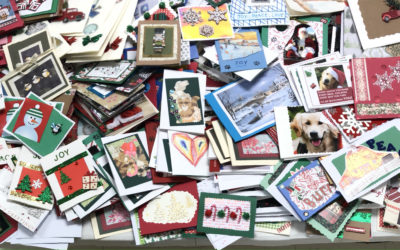 PAWS for People Spreads Joy with Christmas Card Project