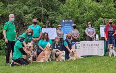 PAWS Teams Now Therapy Ambassadors