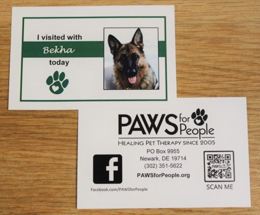Pet Visiting Card