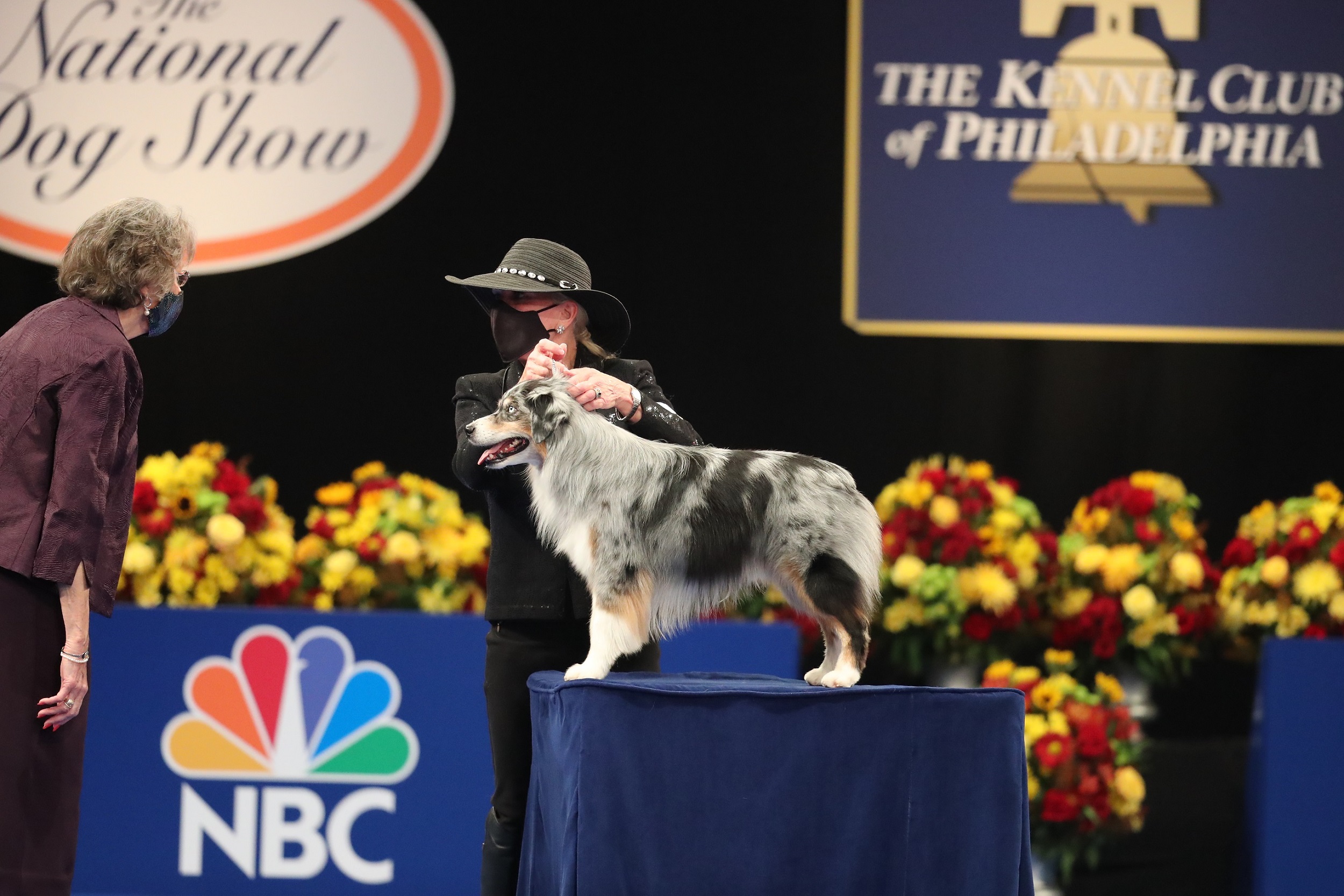 National Dog Show